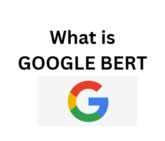 google bert update